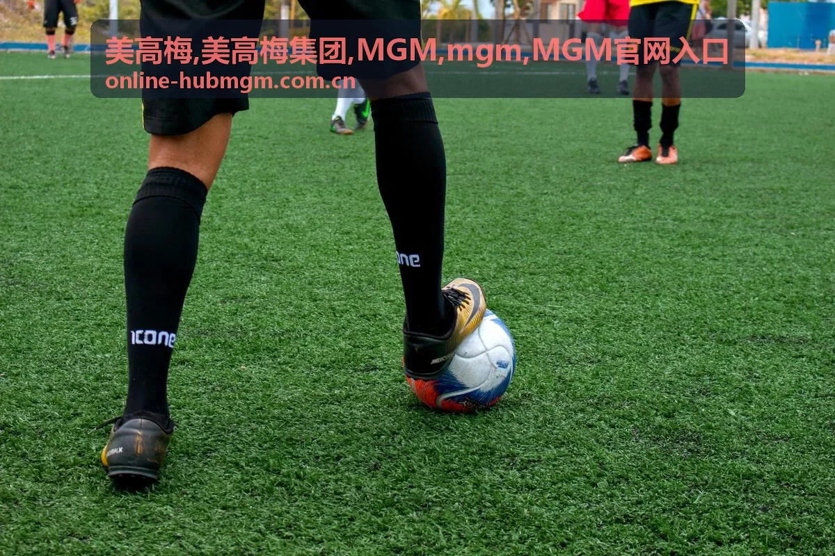 确认 MGM 访问路径的安全提示